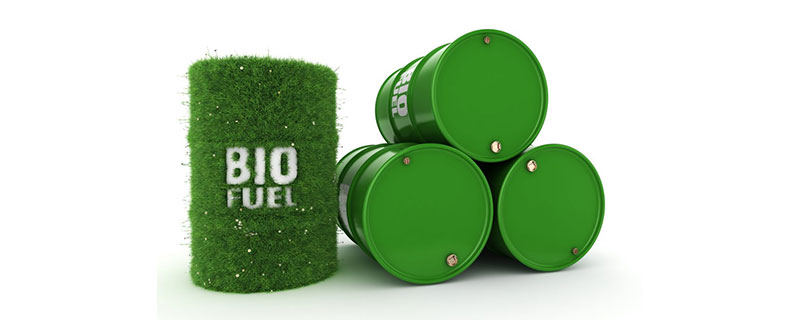 2024年植物油燃料项目还能做吗？