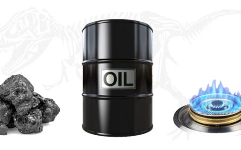 植物油燃料属于化工产品吗？